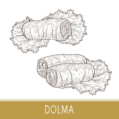 Dolma. Gıda. Yaprak, salata. Kroki. Ayarla.