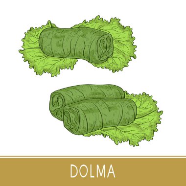 Dolma. Gıda. Yaprak, salata. Kroki. Renk