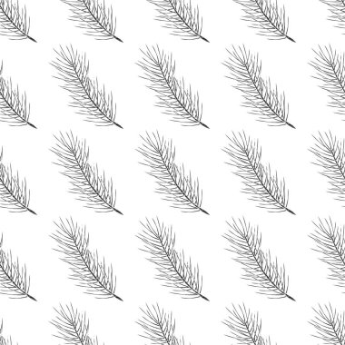 İğneler, dal. Sedir. Beyaz arka planda siyah siluet. Doku, duvar kağıdı, kesintisiz.