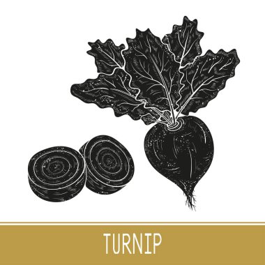 Şalgam. Sebze. Meyve, yaprak, kök. Beyaz arka planda siyah siluet. Ayarla.