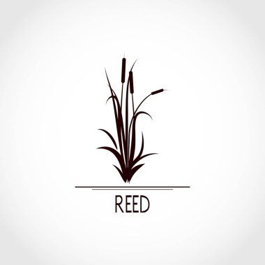  Saz, kamış, baston, bulrush. Ayarlayın. Beyaz arka planda siyah siluet. Logo, amblem, işaret, sembol