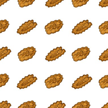 Cevizli. Somun. Kroki. Duvar kağıdı, sorunsuz, doku. Beyaz arka plan.