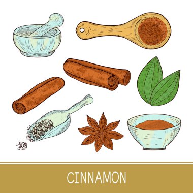 Tarçın, Yıldız anason, yaprak. Kepçe, toz, kase. Kroki. Ayarla.