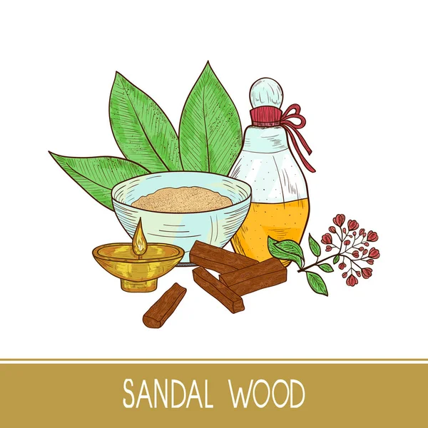 Sandaal hout. Blad, bloem. Poeder, bacillus, bowl, olie, schors. Kleur. Schets. Op een witte achtergrond. — Stockvector