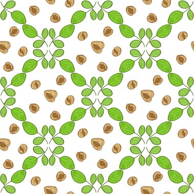 Moringa. Bitki. Yaprak ve tohum. Arka plan, duvar kağıdı, doku, sorunsuz. Kroki. Renk desen.