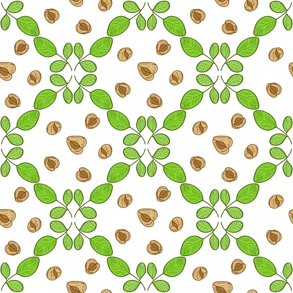 Moringa. Bitki. Yaprak ve tohum. Arka plan, duvar kağıdı, doku, sorunsuz. Kroki. Renk desen.