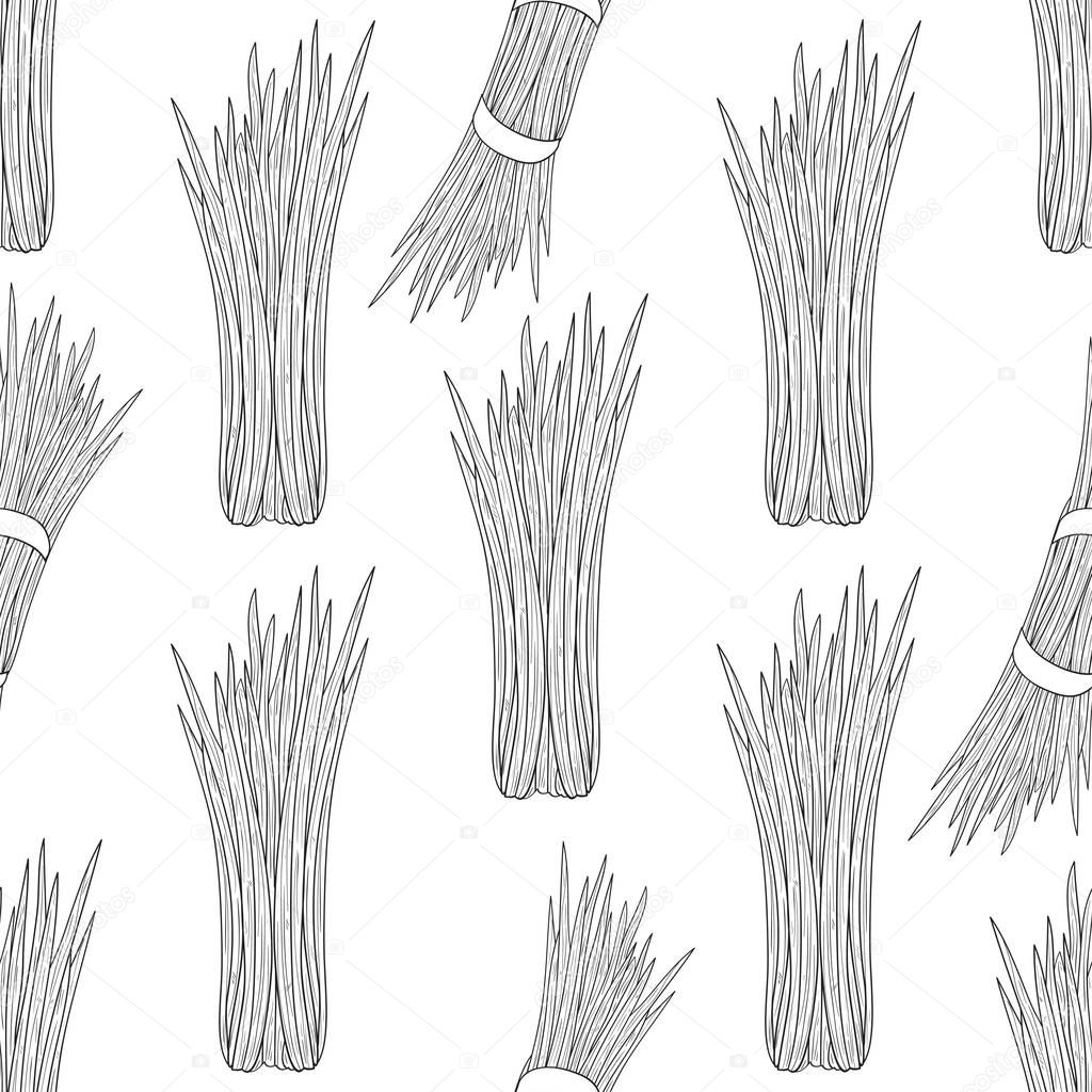 Vetiver. Plant. Leaves. Texture, background, wallpaper, seamless. Monochrome. Sketch.