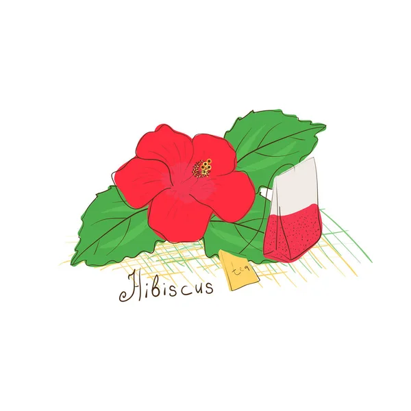 Hibiscus. Té. Boceto. Flor y una bolsa de té . — Vector de stock