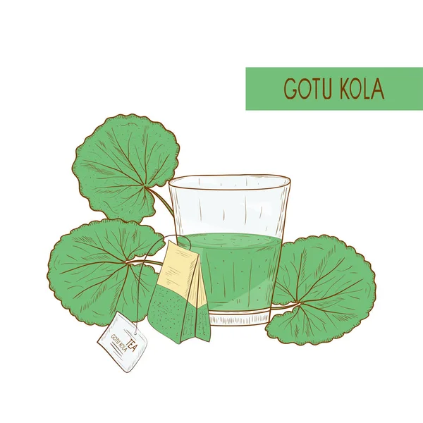 GotU kola. Φύλλα. Φύλλα και τσάι. Σκίτσο. Εικονογράφηση χρώμα σε άσπρο φόντο. — Διανυσματικό Αρχείο