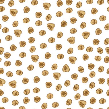 Moringa. Tohum. Arka plan, duvar kağıdı, sorunsuz. Kroki.