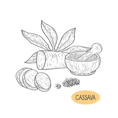 Cassava. Tuber,  leaves.  Mortar. Sketch. On a white background. clipart