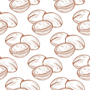 Argan. Bitki. Arka plan, duvar kağıdı, sorunsuz. Kroki. Tek renkli. Beyaz bir arka plan üzerinde.