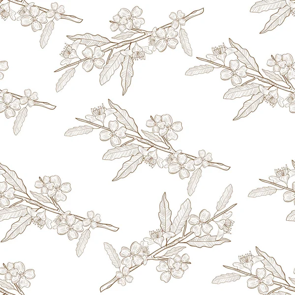 Jasmijn. Bladeren, een bloem, een tak. Achtergrond, wallpaper, naadloze. Schets. Zwart-wit — Stockvector