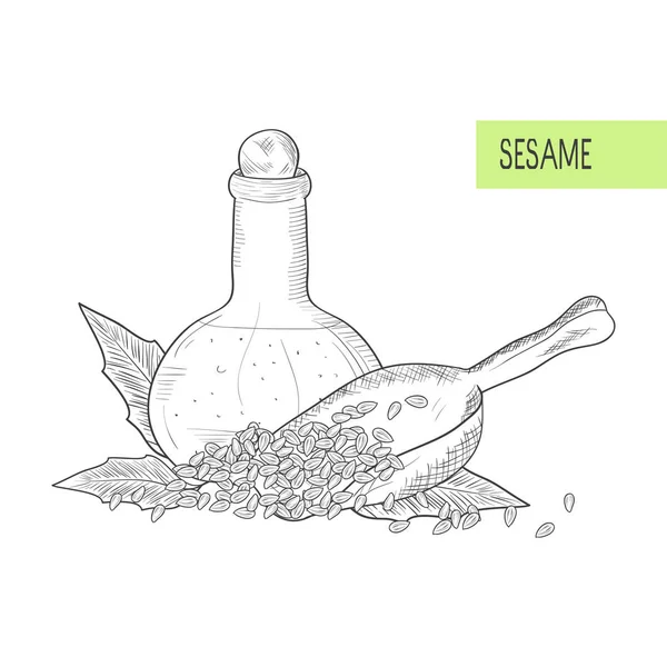 Sesame. Leaves, grain, seed, bottle. Ladle. scoop. Sketch. On a white background. Monochrome. — Stock Vector