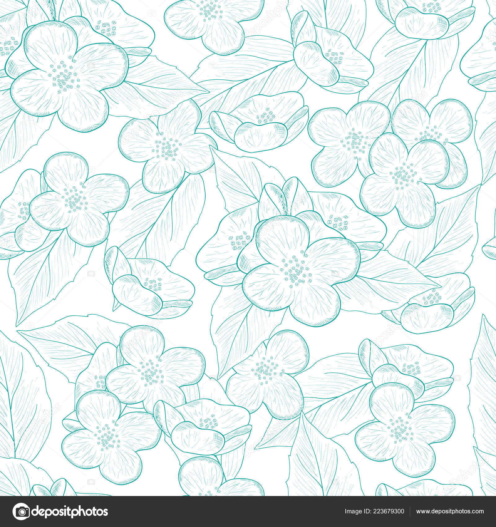 動物画像のすべて 無料印刷可能ジャスミン 花 イラスト 白黒