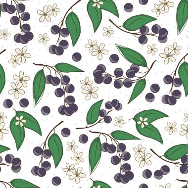 Prunus. Arka plan duvar kağıdı. Sorunsuz. Kroki. Beyaz bir arka plan üzerinde çilek.