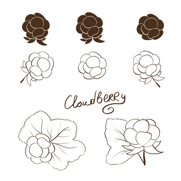 Cloudberry. Prêt. Silhouette de dessin solide. Croquis — Image vectorielle