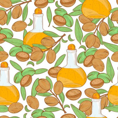 Argan. Bir bitki ve yağı bir şişe. Arka plan, duvar kağıdı, sorunsuz. Kroki. Renk desen.