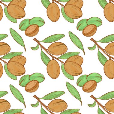 Argan. Arka plan, duvar kağıdı, sorunsuz. Kroki. Renk desen.