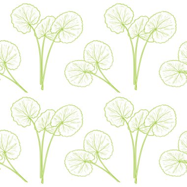 Gotu kola. Leaves. Background, wallpaper, seamless. Sketch. Monochrome. Green outline. clipart