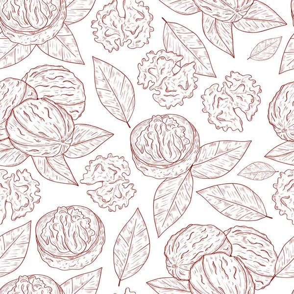 Walnoot. Fruit, bladeren. Achtergrond, wallpaper, naadloze. Schets. Zwart-wit. — Stockvector
