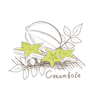 Carambola. Egzotik bitki. Kroki. Beyaz bir arka plan üzerinde düz desen.
