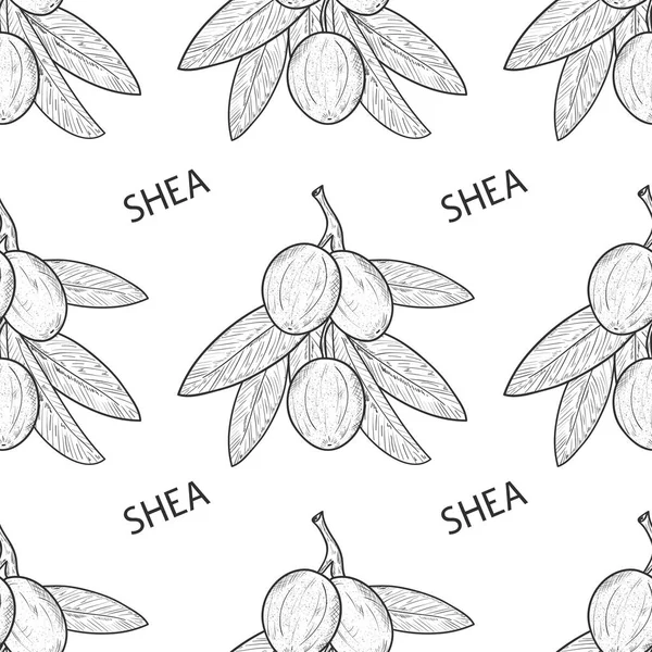 Shea. Branch, leaves, fruit. Sketch. Wallpaper, seamless, texture. Monochrome.