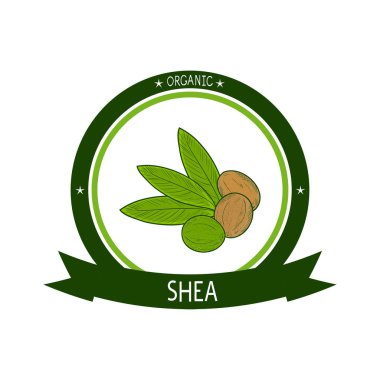 Shea. Yaprak, meyve. Beyaz arka plan üzerinde renkli resimde. Logo, etiket, amblemi.
