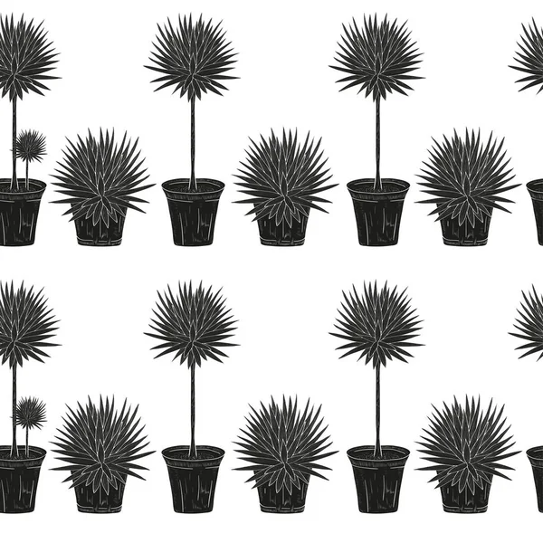 Du yucca. Une plante, un buisson. Silhouette noire sur fond blanc. Papier peint, texture, sans couture . — Image vectorielle