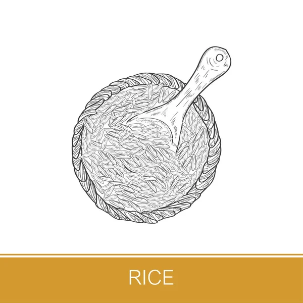 Rice. Corn. Basket, cup and spoon. Sketch. On a white background. Monochrome. — Stock Vector