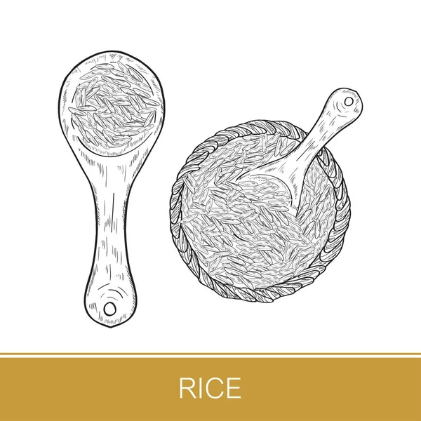 Du riz. Du maïs. Panier, tasse et cuillère. Croquis. Sur fond blanc. Monochrome. Ensemble — Image vectorielle