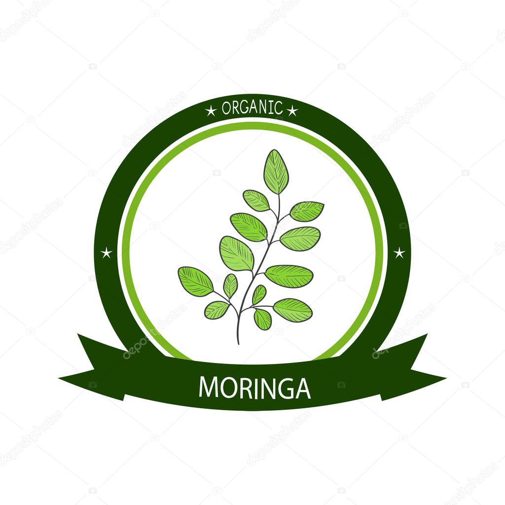 Moringa. Plant. Logo, emblem, symbol, symbol, sticker.