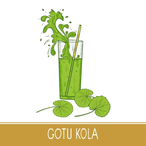 Gotu Kola. Foglie. Un bicchiere, paglia. Una spruzzata. Schizzo . — Vettoriale Stock