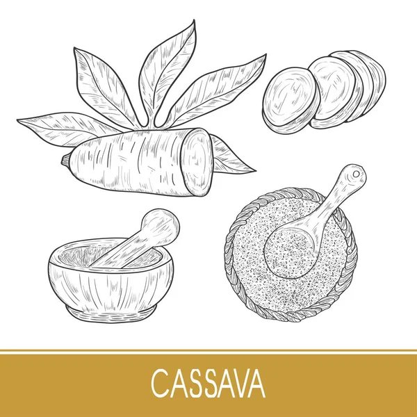 Cassava. Tuber, leaves, powder. Mortar. Sketch. On a white background. — Stock Illustration Cassava. Tuber, leaves, powder. Mortar. Sketch. On a white background. Stock Vector