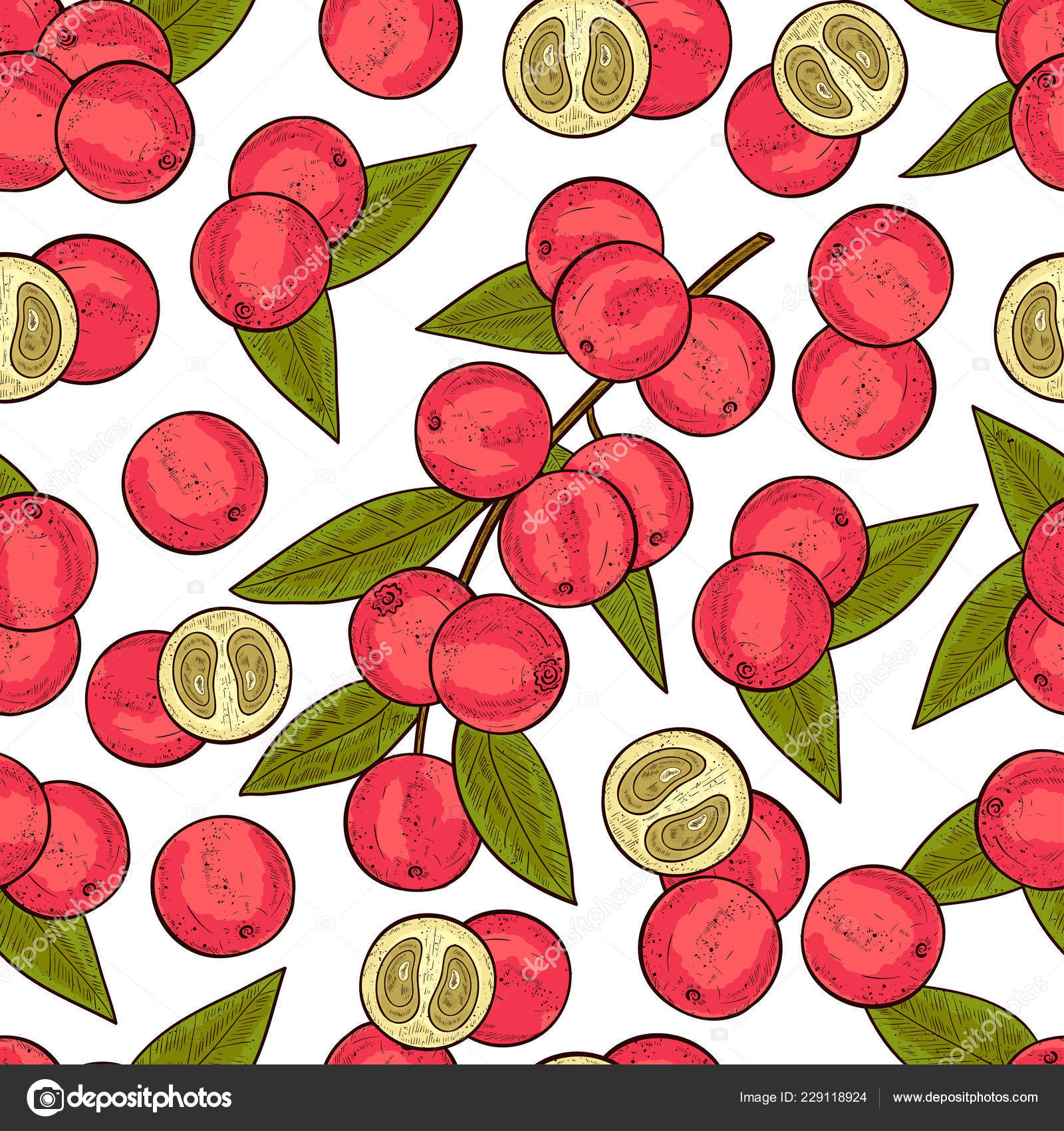 Camu camu. Rama, hojas, fruta, baya. Fondo, fondo de pantalla, sin  costuras, textura. Color. Esbozo . Vector de stock #229118924 de ©KosOlga, image size:1600x1700