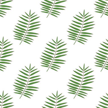 Hindistan cevizi. Yaprak. Egzotik meyve. Arka plan, duvar kağıdı, sorunsuz, doku. Kroki