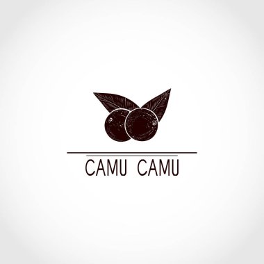 Camu camu. Berry. Beyaz arka planda siyah siluet. Tek sesli. Logo, işaret, sembol.