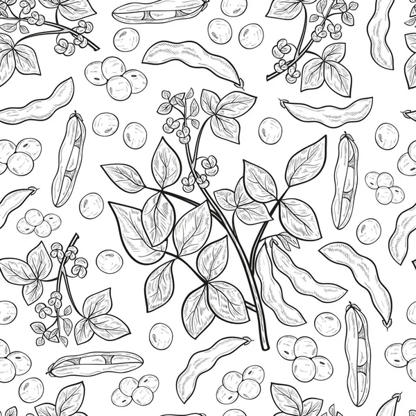 소이입니다. 공장. 줄기, 꽃, 잎, 과일, 포드. 모노. 배경, 배경 화면, 완벽 한, 텍스처입니다. 스케치. — 스톡 벡터