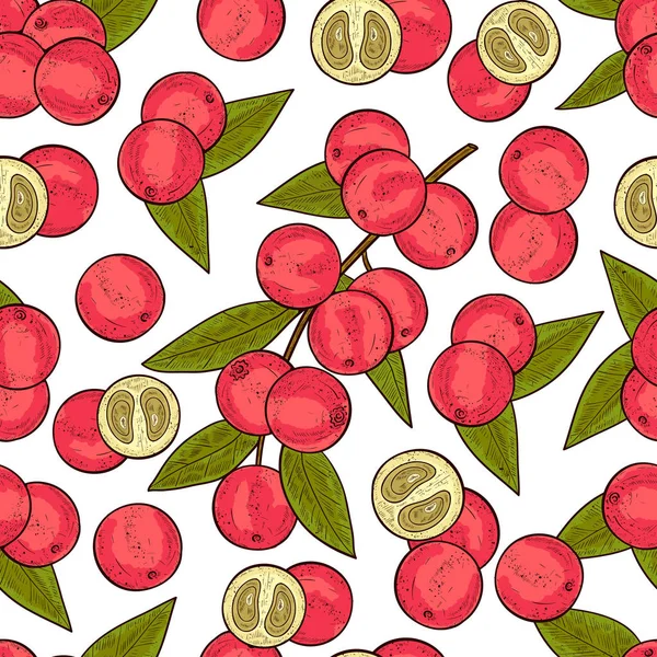 Camu camu. Rama, hojas, fruta, baya. Fondo, fondo de pantalla, sin costuras, textura. Color. Esbozo . — Vector de stock