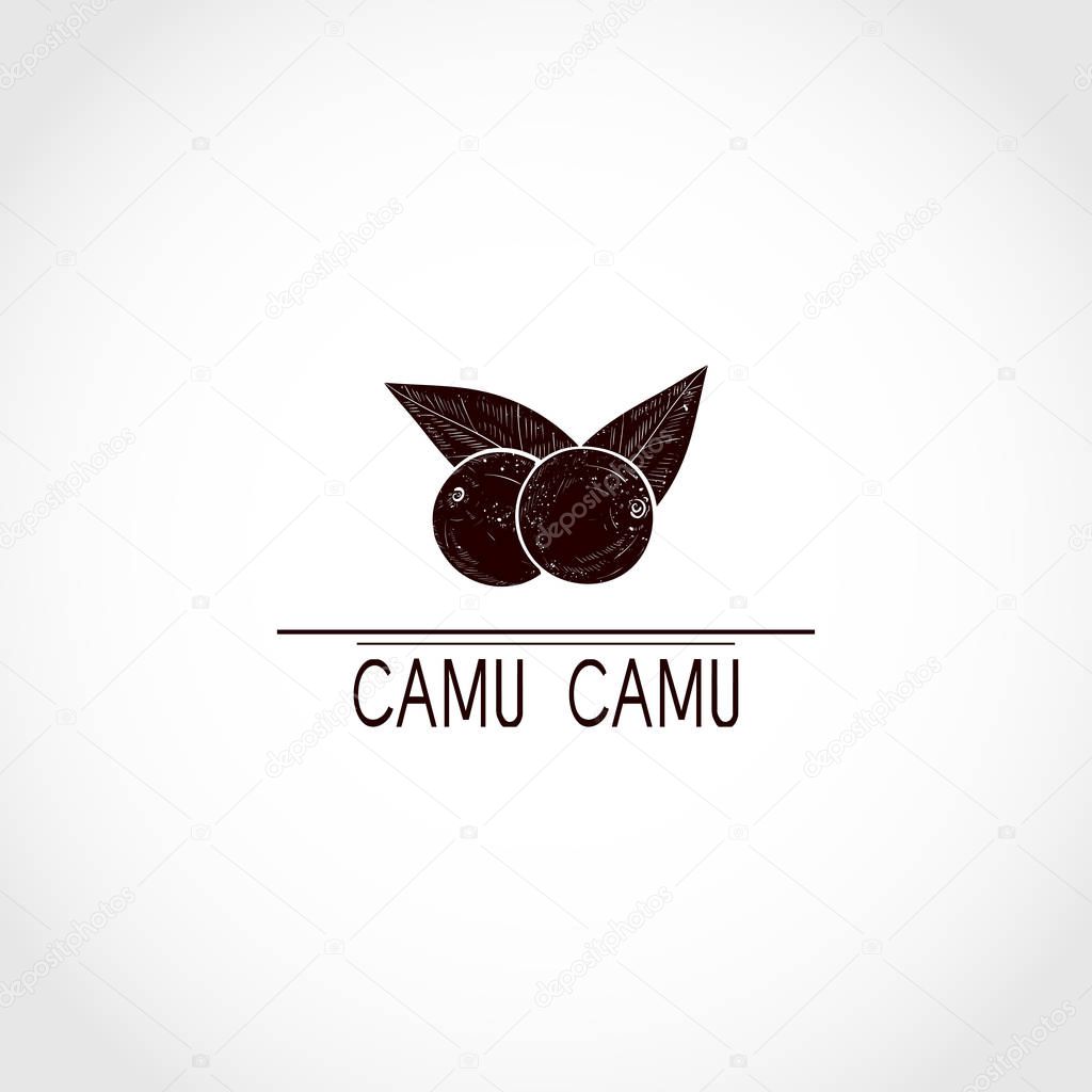 Camu camu. Berry. Black silhouette on white background. Monophonic. Logo, sign, symbol.