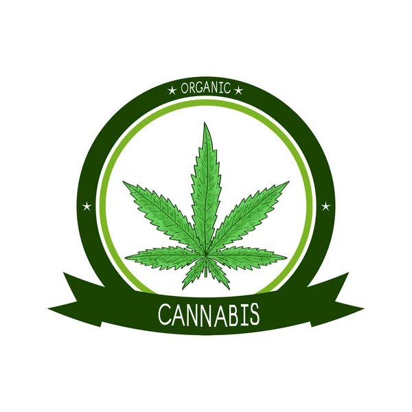 Cannabis. Blatt. Skizze. Farbe. Emblem, Logo, Aufkleber. — Stockvektor