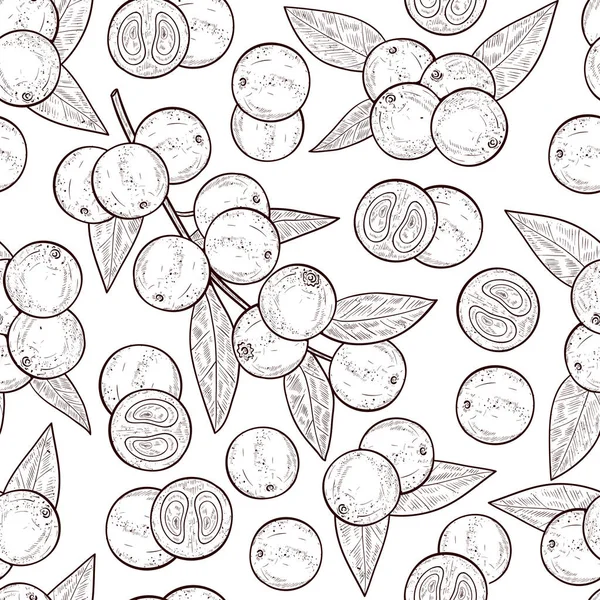 Camu camu. Branch, bladeren, vruchten, bessen. Achtergrond, wallpaper, naadloze, textuur. Monofone. Schets. — Stockvector