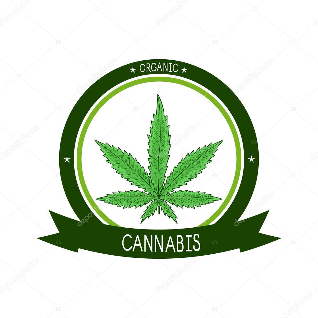 Cannabis. Sheet. Sketch. Color. Emblem, logo, sticker.