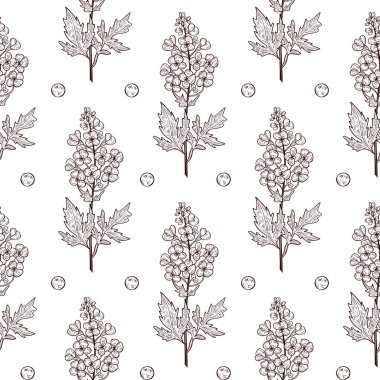 Hardal. Bitki. Çiçek, yaprak, kök, tohum. Arka plan, duvar kağıdı, doku, sorunsuz. Tek renkli. Kroki.