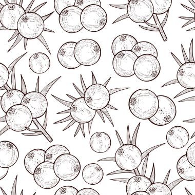 Ardıç. Berry, yaprakları. Arka plan, duvar kağıdı, sorunsuz, doku. Tek sesli.