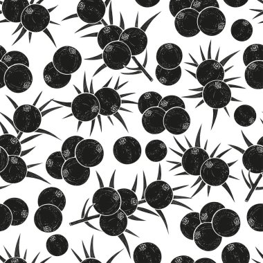 Ardıç. Berry, yaprakları. Arka plan, duvar kağıdı, sorunsuz, doku. Beyaz arka planda siyah siluet.