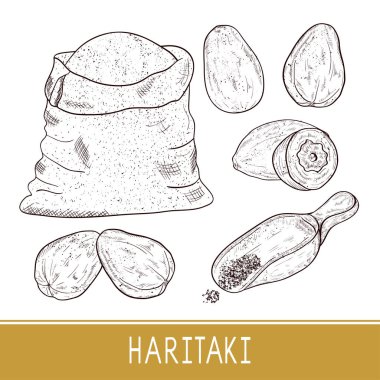 Haritaki. Terminalia chebula. Bitki, toz, kaşık, çuval. Ayarla.