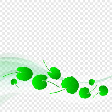 GotU kola. Bitki. Yaprakları, çizgi, saydam bir arka plan dalga. Doku, kartpostal. Şablon. Soyut
