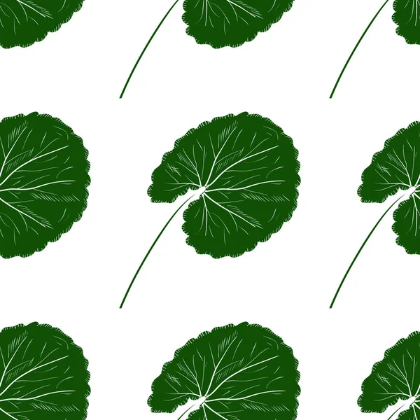 Gotu 콜라입니다. 잎입니다. 배경, 배경 화면, 완벽 한입니다. 흑백입니다. 흰색 바탕에 녹색 실루엣. — 스톡 벡터