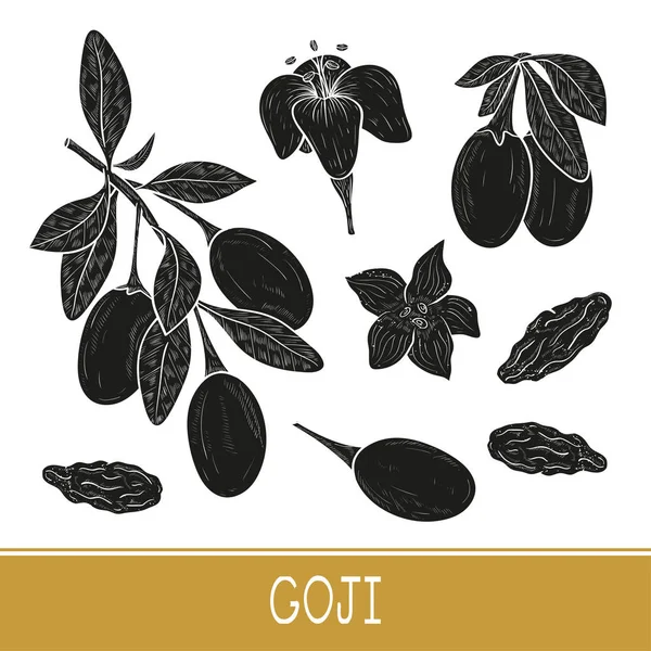 Годзі. Гілка, ягода, лист, квітка. Набір. Чорний силует на білому тлі . — стоковий вектор